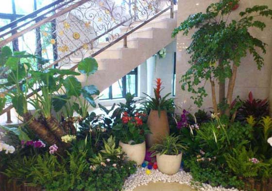 工廠綠植租賃組合